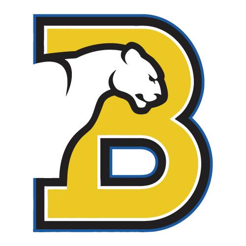 Birmingham Southern Panthers Iron-on Transfers (Heat Transfers) N4008